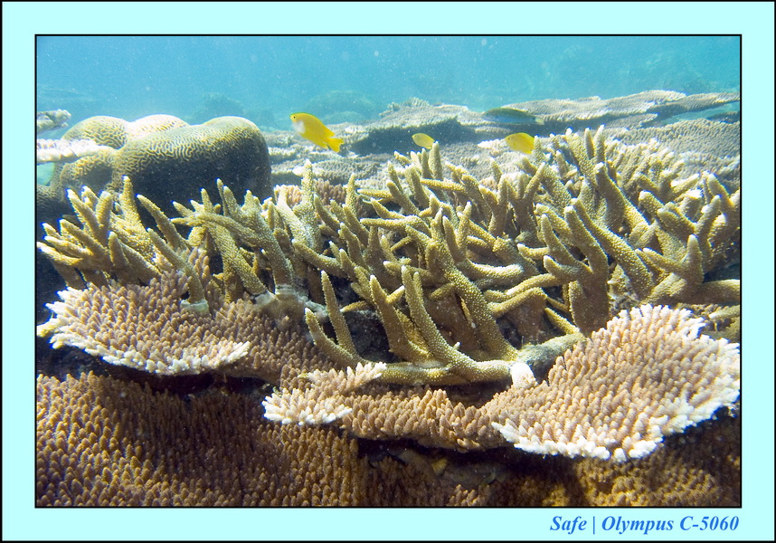 2008 - 07 - Leng Tengah - 072